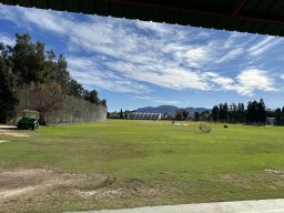 175-08-01-2026 IMG_3380